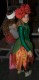 Karneval APG 2009 171